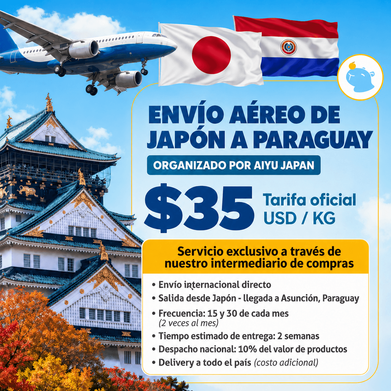 envio japon a paraguay